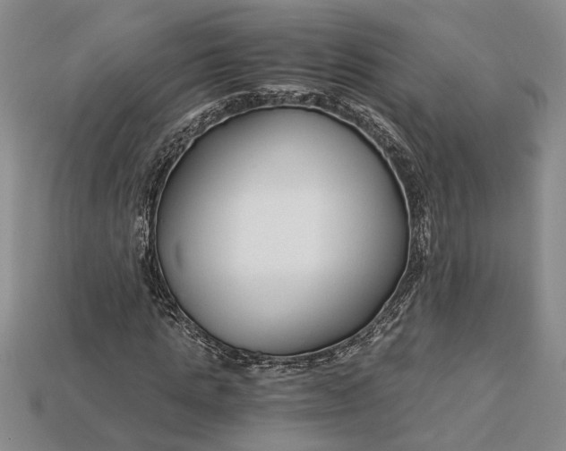 X0000112900821200909111522