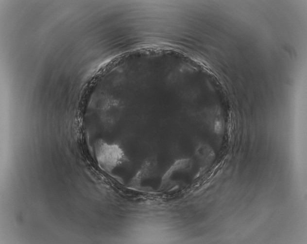 X0000112900822200909111522