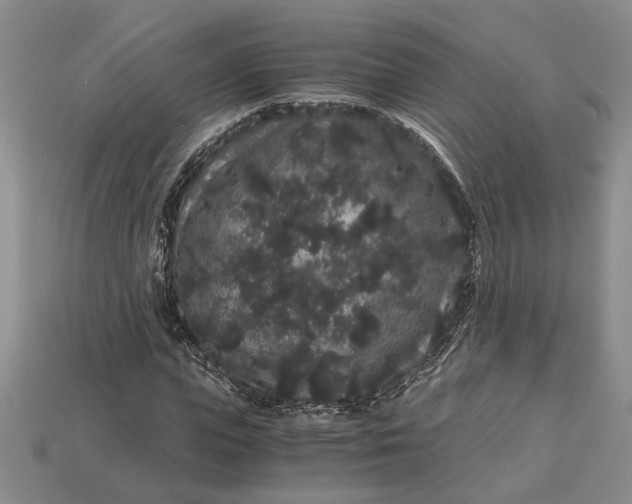X0000112900823200909111523