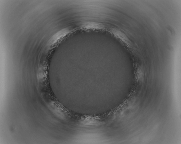X0000112900824200909111523