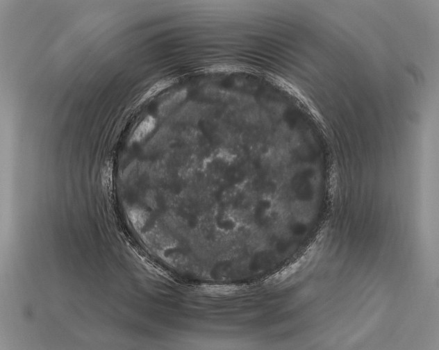 X0000112900825200909111523