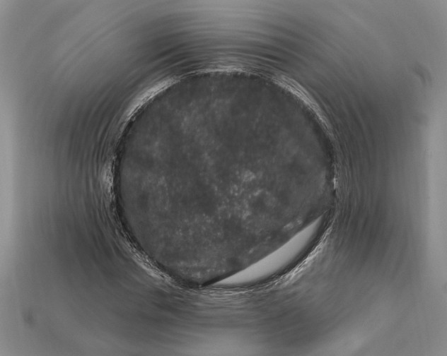 X0000112900826200909111523