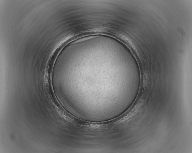 X0000112900827200909111523