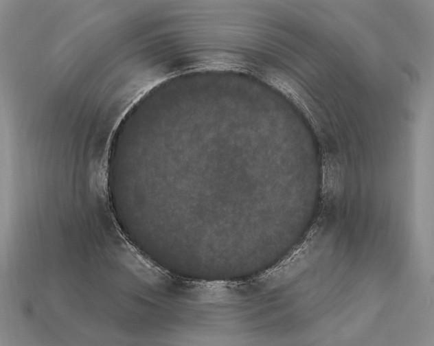 X0000112900828200909111523