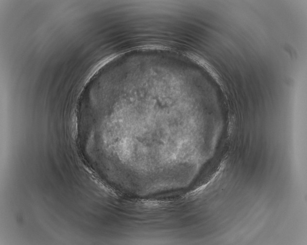 X0000112900829200909111523
