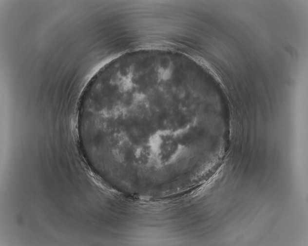 X0000112900830200909111523