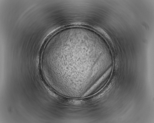 X0000112900831200909111523