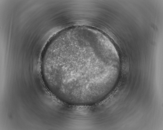 X0000112900832200909111523