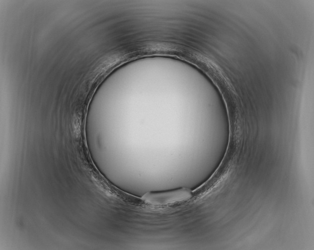 X0000112900833200909111523