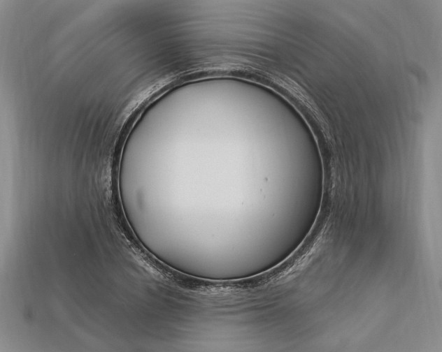 X0000112900834200909111523