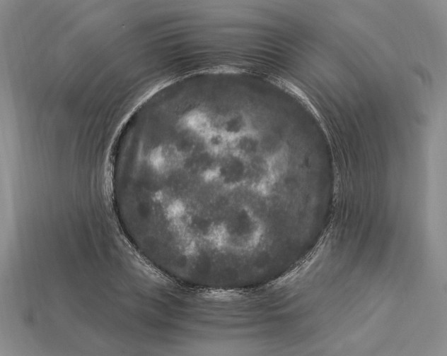 X0000112900835200909111523
