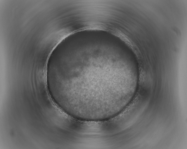 X0000112900836200909111523