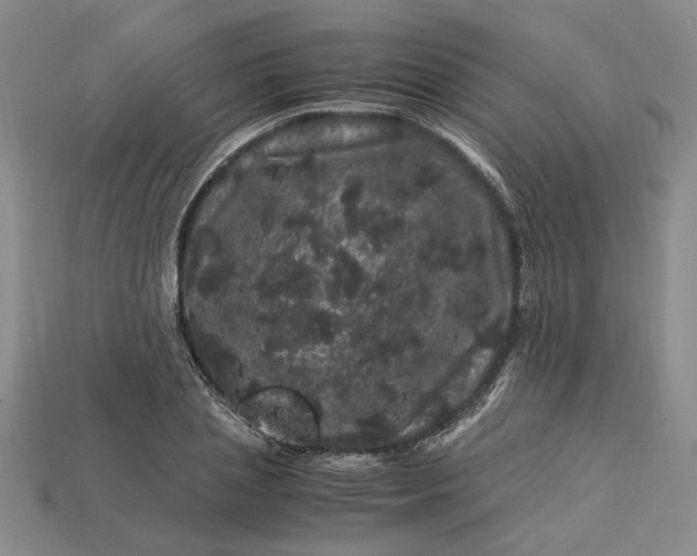 X0000112900837200909111523