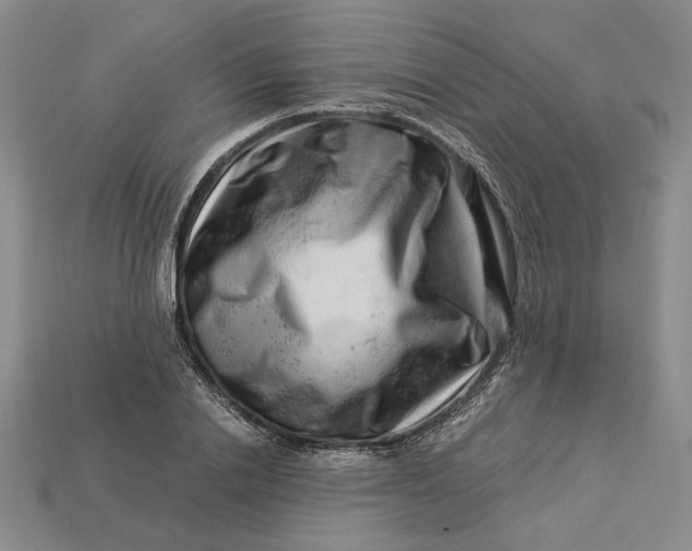 X0000112900838200909111523