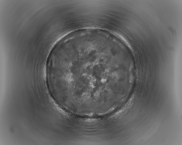 X0000112900839200909111523