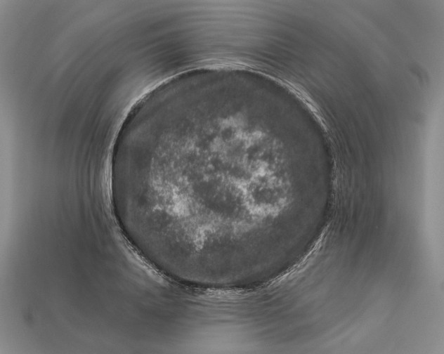 X0000112900840200909111523