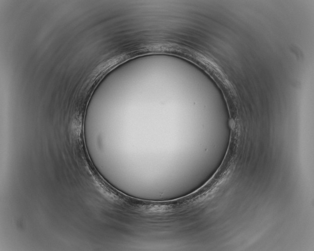 X0000112900841200909111523