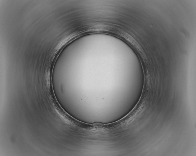 X0000112900842200909111523