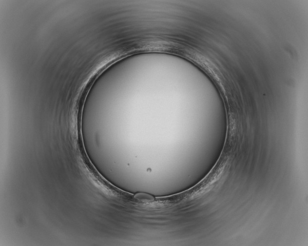 X0000112900843200909111523