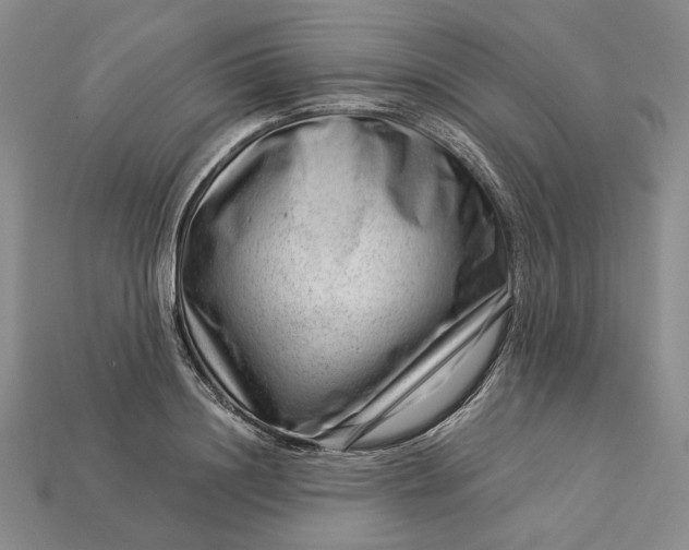 X0000112900844200909111523