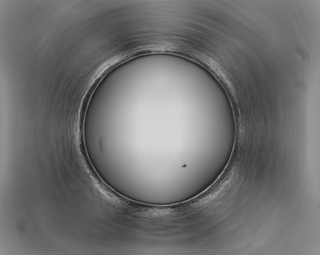 X0000112900845200909111523