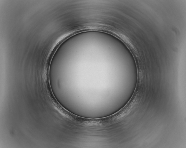 X0000112900846200909111523