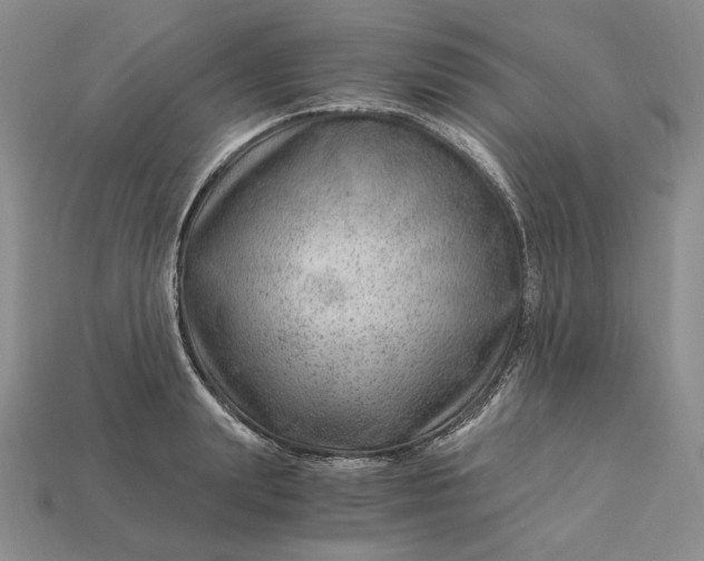 X0000112900847200909111523