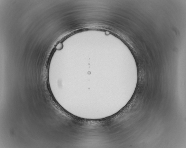 X0000112900848200909111523