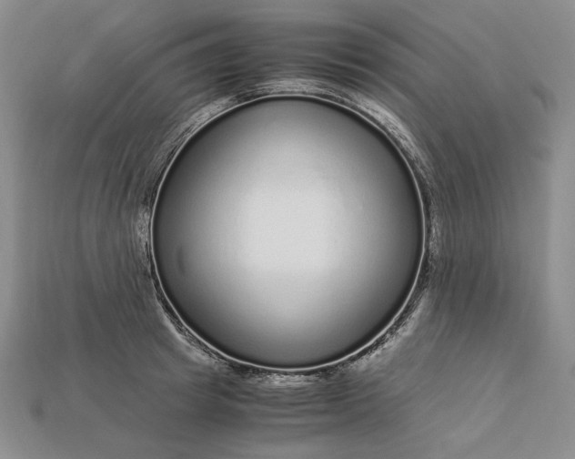X0000112900849200909111523