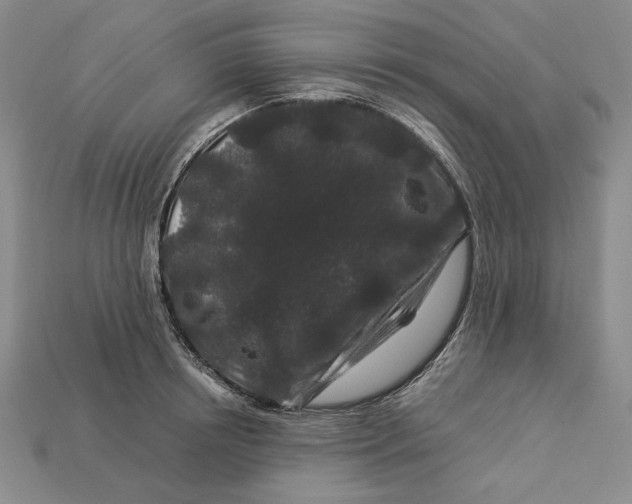 X0000112900850200909111523