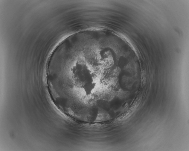 X0000112900851200909111523