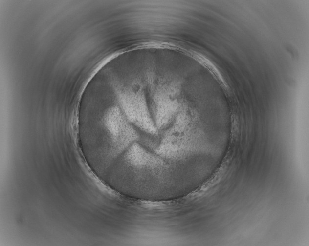 X0000112900852200909111523
