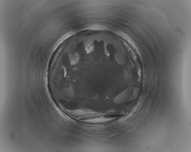 X0000112900853200909111523