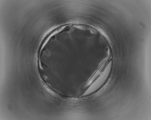 X0000112900854200909111523