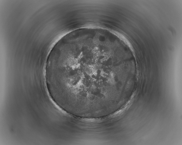X0000112900855200909111523