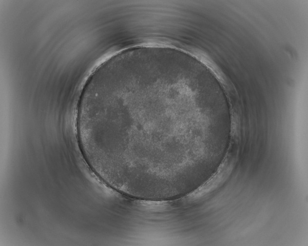 X0000112900856200909111523