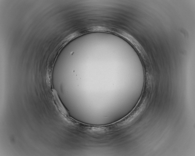 X0000112900857200909111523