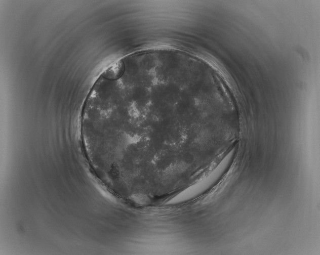 X0000112900858200909111523