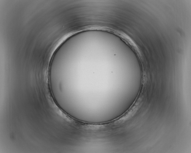 X0000112900860200909111523