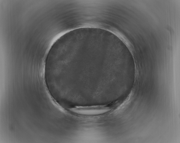 X0000112900862200909111523