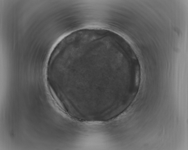 X0000112900864200909111523