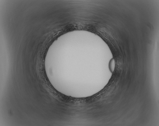 X0000112900865200909111522