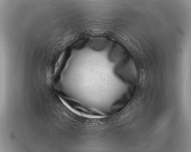 X0000112900866200909111522