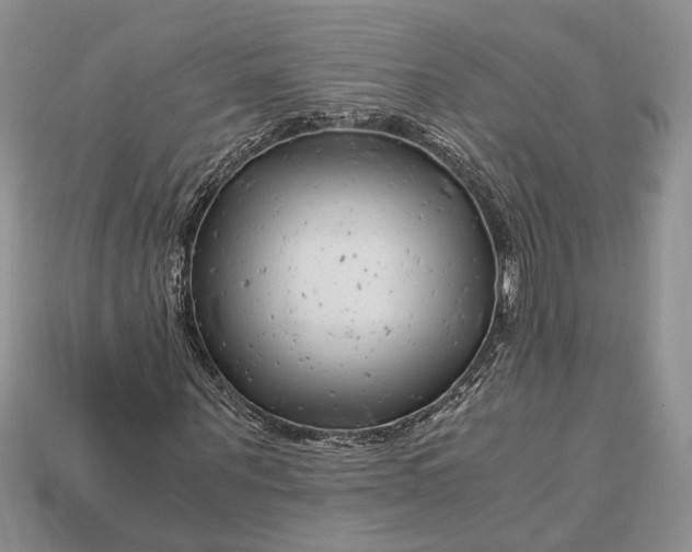 X0000112900867200909111522