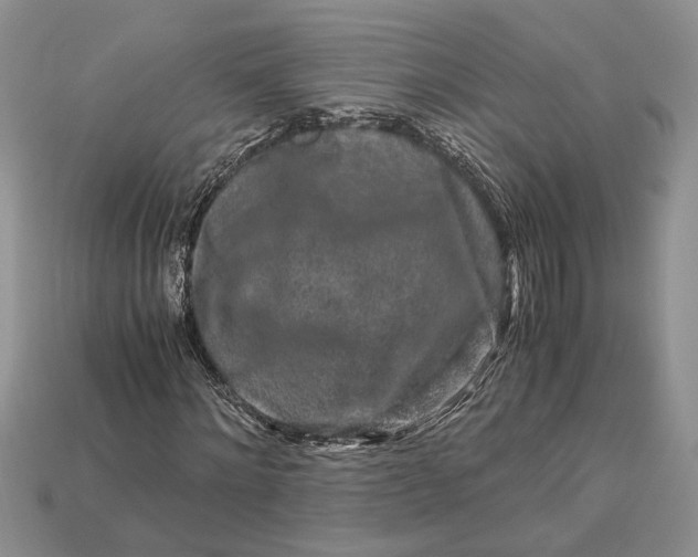 X0000112900868200909111522