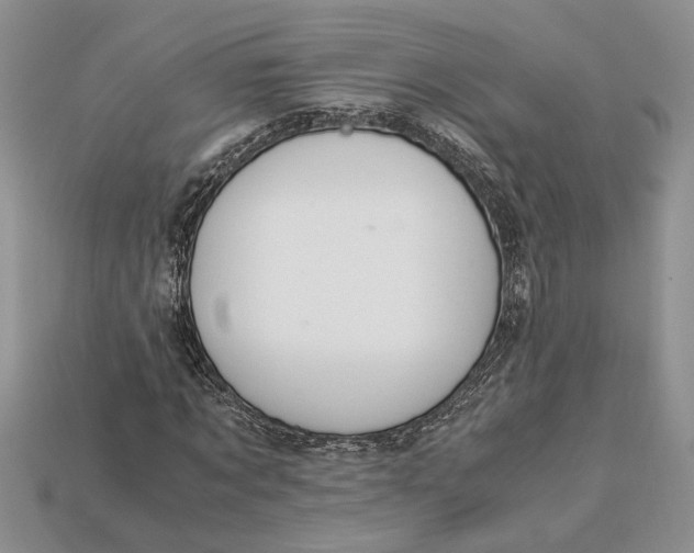 X0000112900869200909111522
