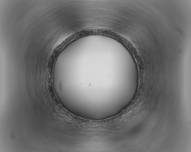 X0000112900871200909111522