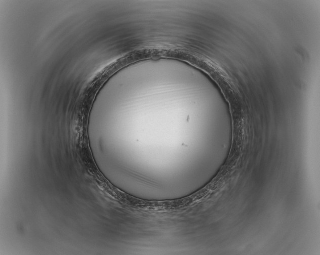 X0000112900872200909111522