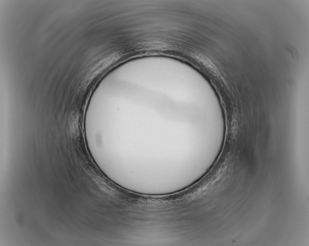 X0000112900873200909111522