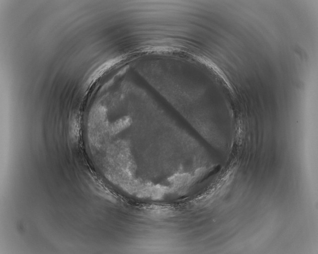 X0000112900874200909111522